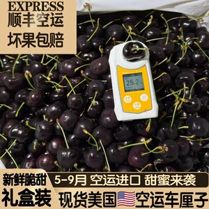 美国黑珍珠科迪亚车厘子礼盒顺丰