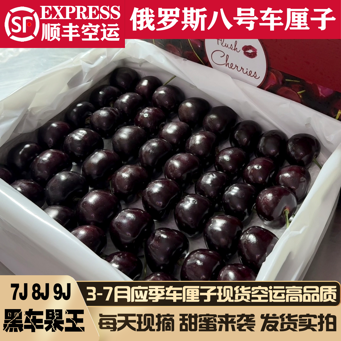 俄8大连樱桃9j8j新鲜俄罗斯八号黑珍珠科迪亚车厘子7j5j水果礼盒