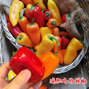 水果椒辣椒种苗种籽不辣生吃甜椒薄皮南方夏季四季盆栽蔬菜苗种孑
