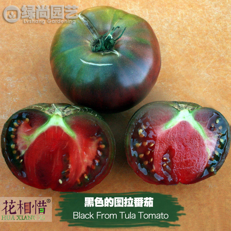 黑色的图拉番茄种子进口西红柿四季播阳台盆栽蔬菜种籽瓜果番茄苗,鲜花速递/花卉仿真/绿植园艺,家庭园艺种子,淘宝优惠券,粉丝福利购,淘宝优惠卷