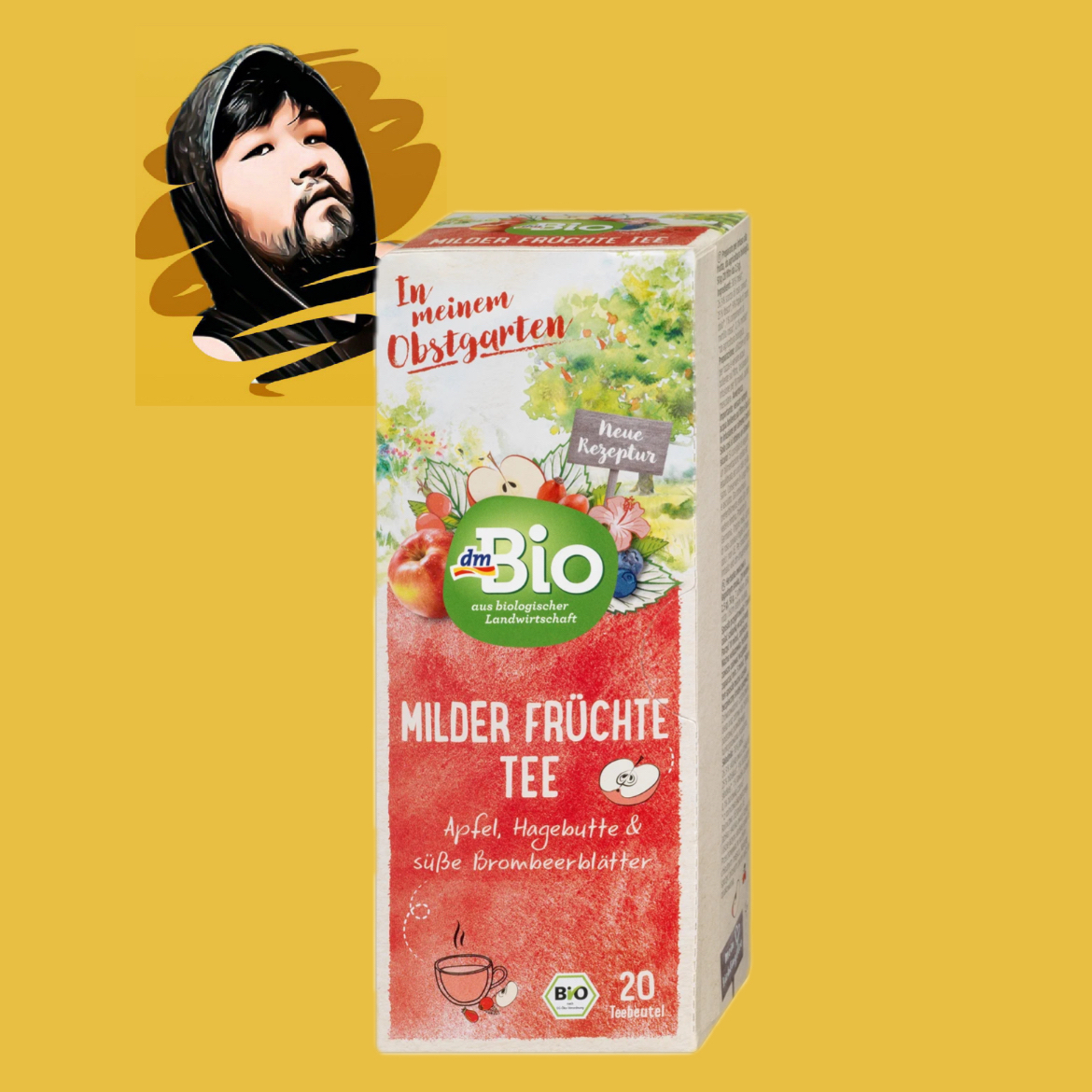 德国直邮【全场5盒包邮】DM BIO有机水果茶50g（20包）