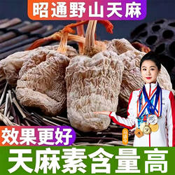 野外红鹦哥嘴冬麻 云南昭通小草坝天麻特级500g干货无熏硫中药材