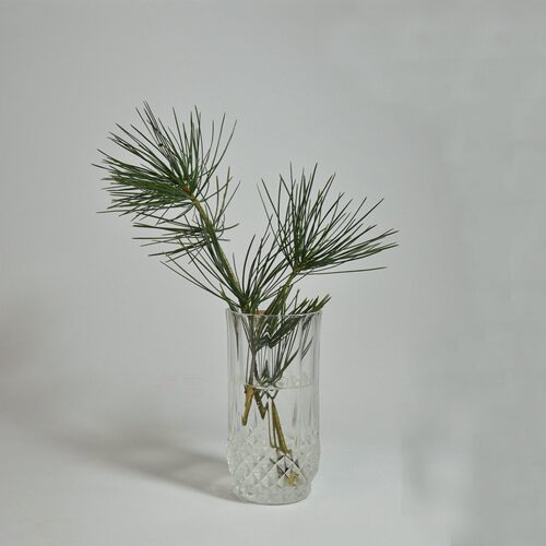法国CRISTAL水晶玻璃洋酒杯