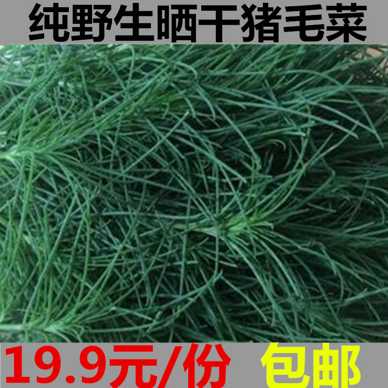 野生晒干猪毛菜扎蓬棵刺蓬三叉明棵猪毛缨叉明棵猴子毛蓬子菜茶