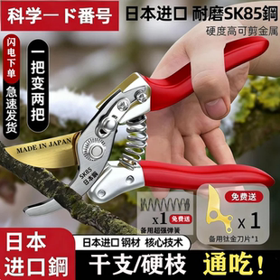 日本进口SK5粗枝剪树枝剪绿植强力园艺剪刀修剪树枝果树园林 原装