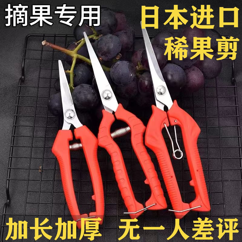 日本爆款进口细长稀果剪葡萄剪修枝剪园艺剪采摘果剪花卉修枝剪刀