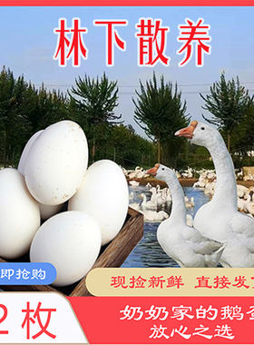大鹅蛋135g-150g均匀装12枚送礼用农家林下散养精选新鲜现捡现发