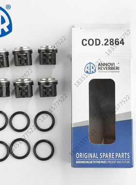 意大利AR进口高压泵清洗机RG21.25/24.15配套单向阀套装ARSP-2864