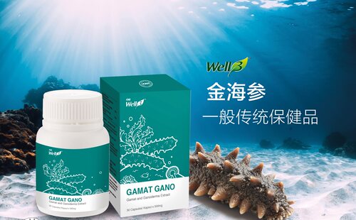 马来西亚原装CNI长青 营养品GAMAT GANO 金海参(30粒x500mg)/罐