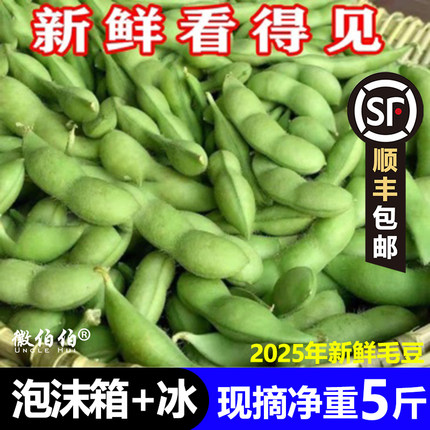 【顺丰包邮】2026新毛豆现摘脆嫩新鲜带壳毛豆角毛豆荚大青豆绿豆