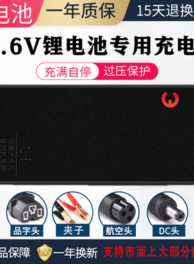 12V锂电池一体机充电器12.6V10A5A三元智能聚合物18650组快充通用