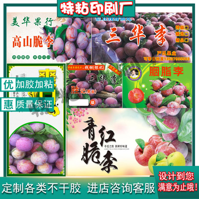 定制三华李不干胶标签李子杨梅青梅商标草莓黑布李贴纸logo设计
