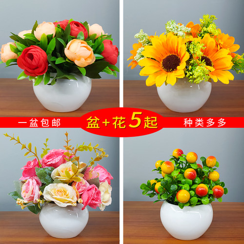 盆栽小摆件创意网红桌面仿真绿植
