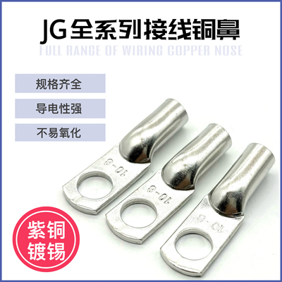 JG铜鼻子10平方/16/25/35/50-8-10-12船用加厚铜线耳接线端子单只