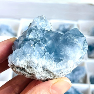 天然水晶蓝晶石晶簇块天青石原石矿石标本家居装饰居摆件