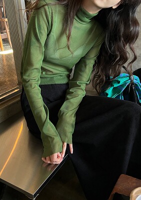 洋气内搭薄纱长袖高领打底衫