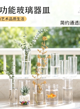 大中小号5.5-30cm高硼硅玻璃水培花瓶桌面摆件小鱼缸通用杯子装饰