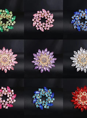 日韩水晶胸针女高档防走光小众创意胸花设计感时尚百搭别针配饰品