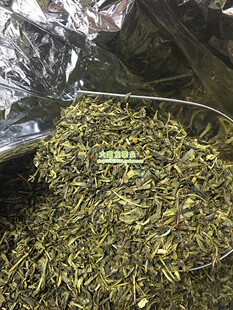 广西横县茉莉花茶叶 酒楼大排档棋牌室饭店酒店3级毛峰 500克