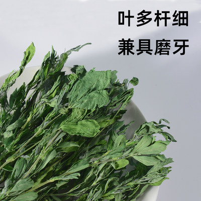 荷23年草新干紫花苜蓿草干草新鲜兔子草龙烘GXI猫兰猪牧草饲料幼