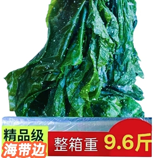 大连海带边片新鲜盐渍凉拌菜薄边海带丝火锅海藻海带片