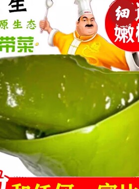 888盐渍裙带菜梗海白菜梗海藻非干货海裙梗海菠菜火锅凉拌菜食材