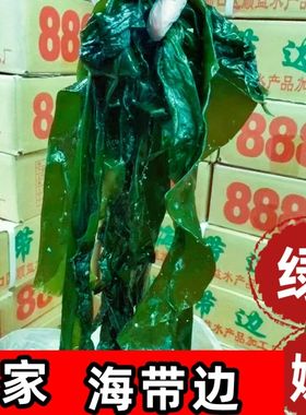 大连海带边片新鲜盐渍2斤5斤凉拌菜薄边海带丝火锅海藻海带片