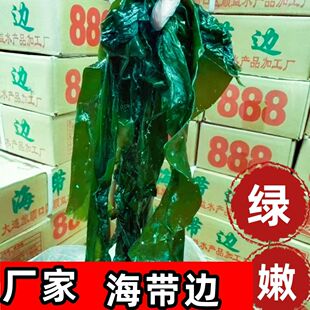 大连海带边片新鲜盐渍2斤5斤凉拌菜薄边海带丝火锅海藻海带片