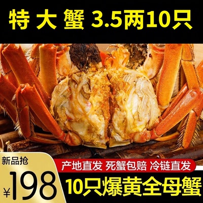 特大大闸蟹活蟹鲜活苏州阳澄发