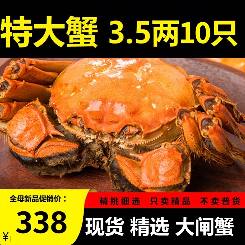 特大活蟹10只大闸蟹鲜活螃蟹礼盒现货海鲜水产公母湖蟹苏州阳澄发