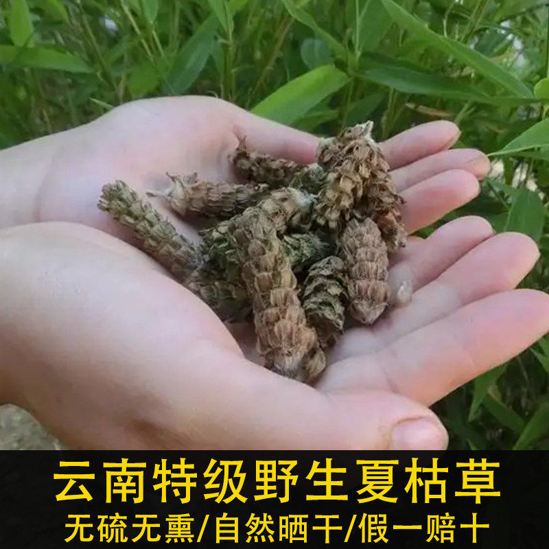 野生白毛夏枯草中药材500g干货特级蒲公英猫爪草散泡水夏枯养生茶