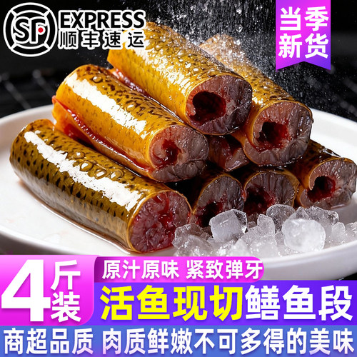 新鲜现切去骨黄鳝段鳝片
