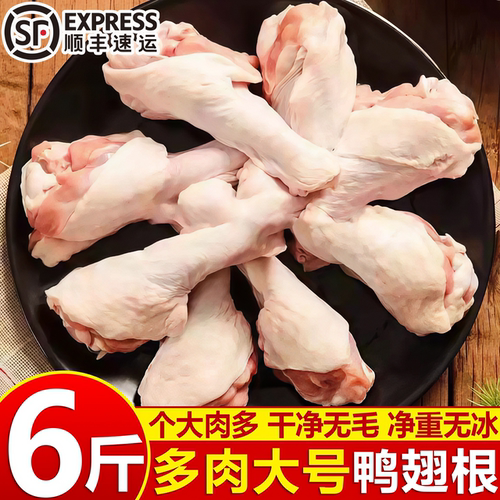 寰球邮鲜速冻鸭翅根卤味烧烤