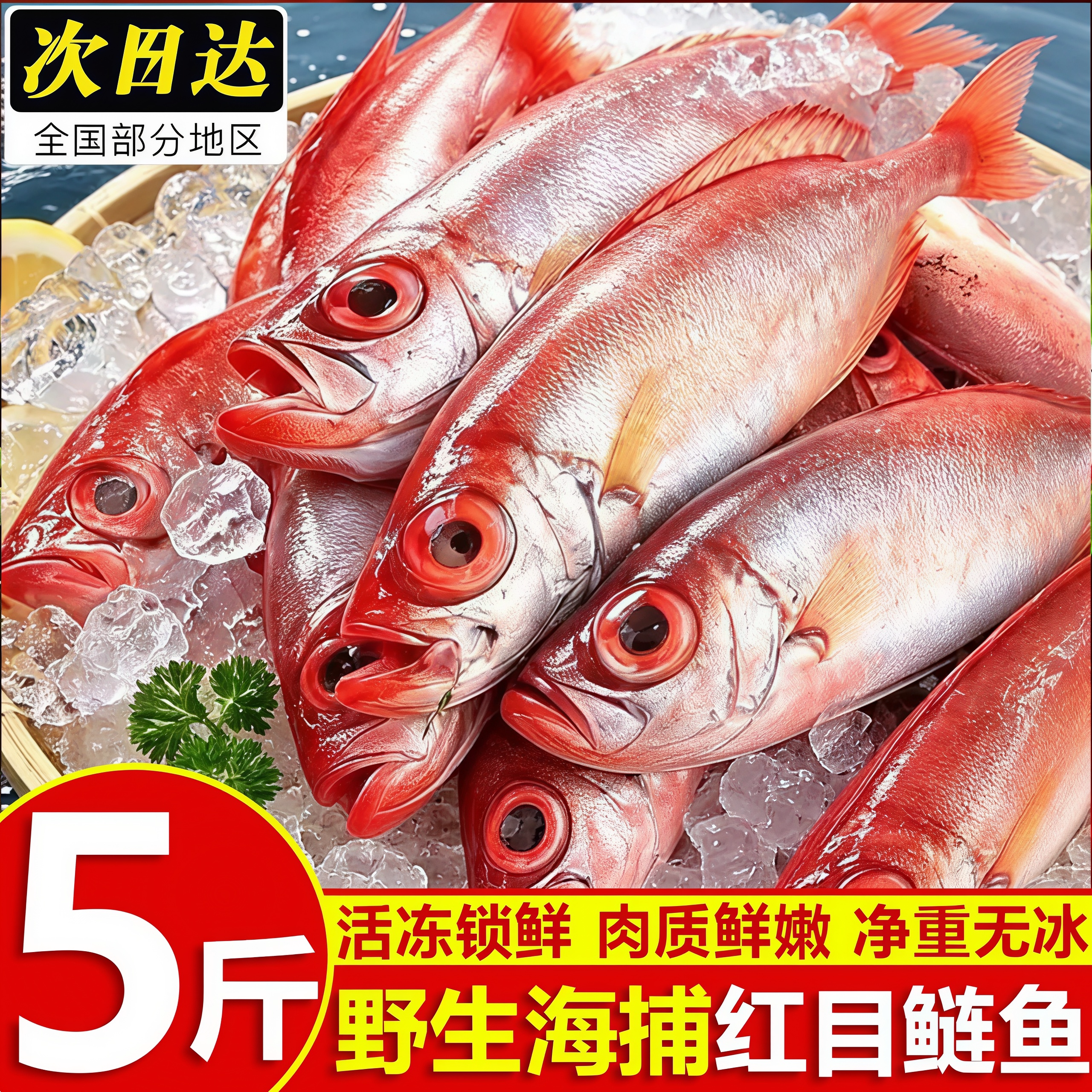 海捕红目鲢鱼无冰净重5斤装