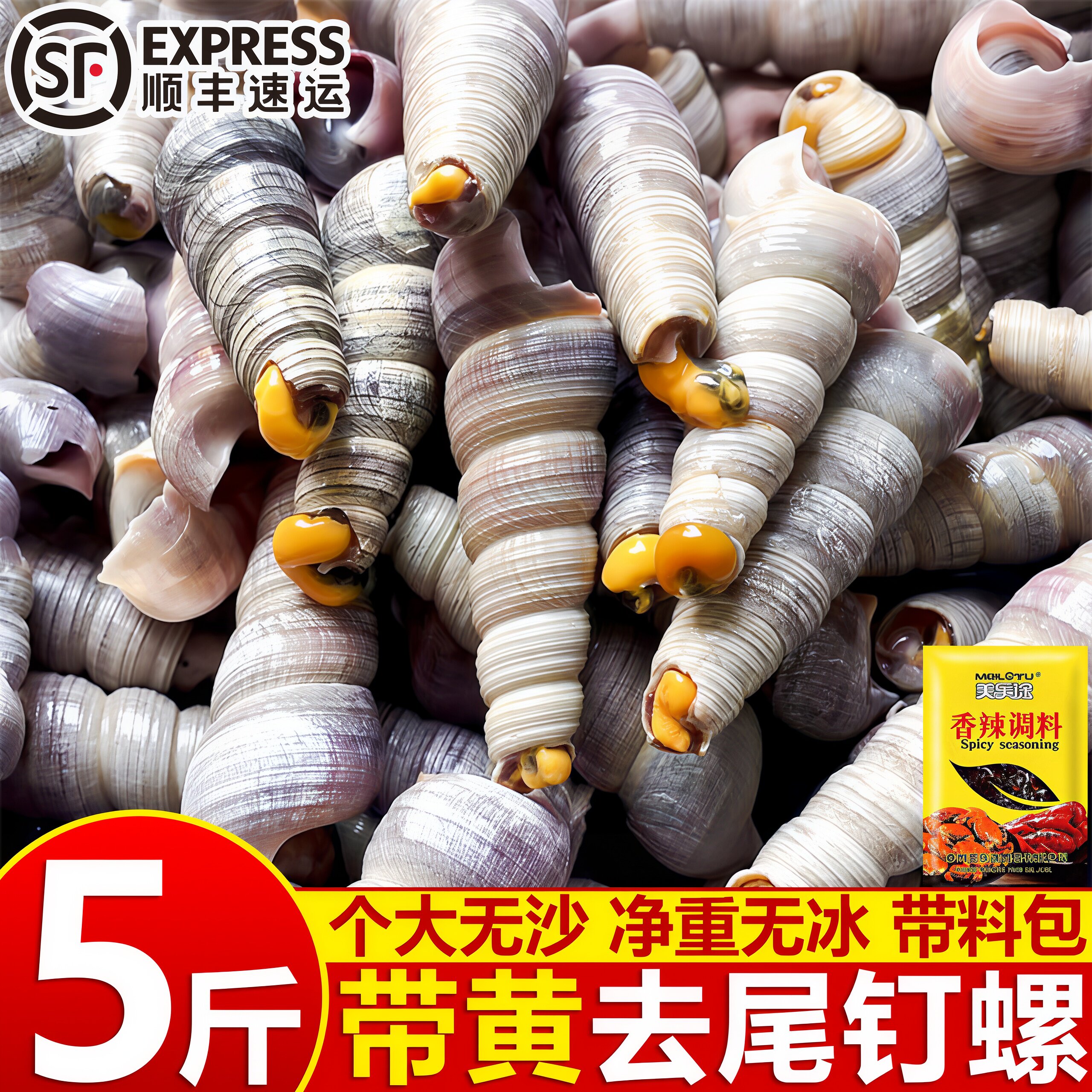 无冰去尾钉螺鲜活速冻海螺丝