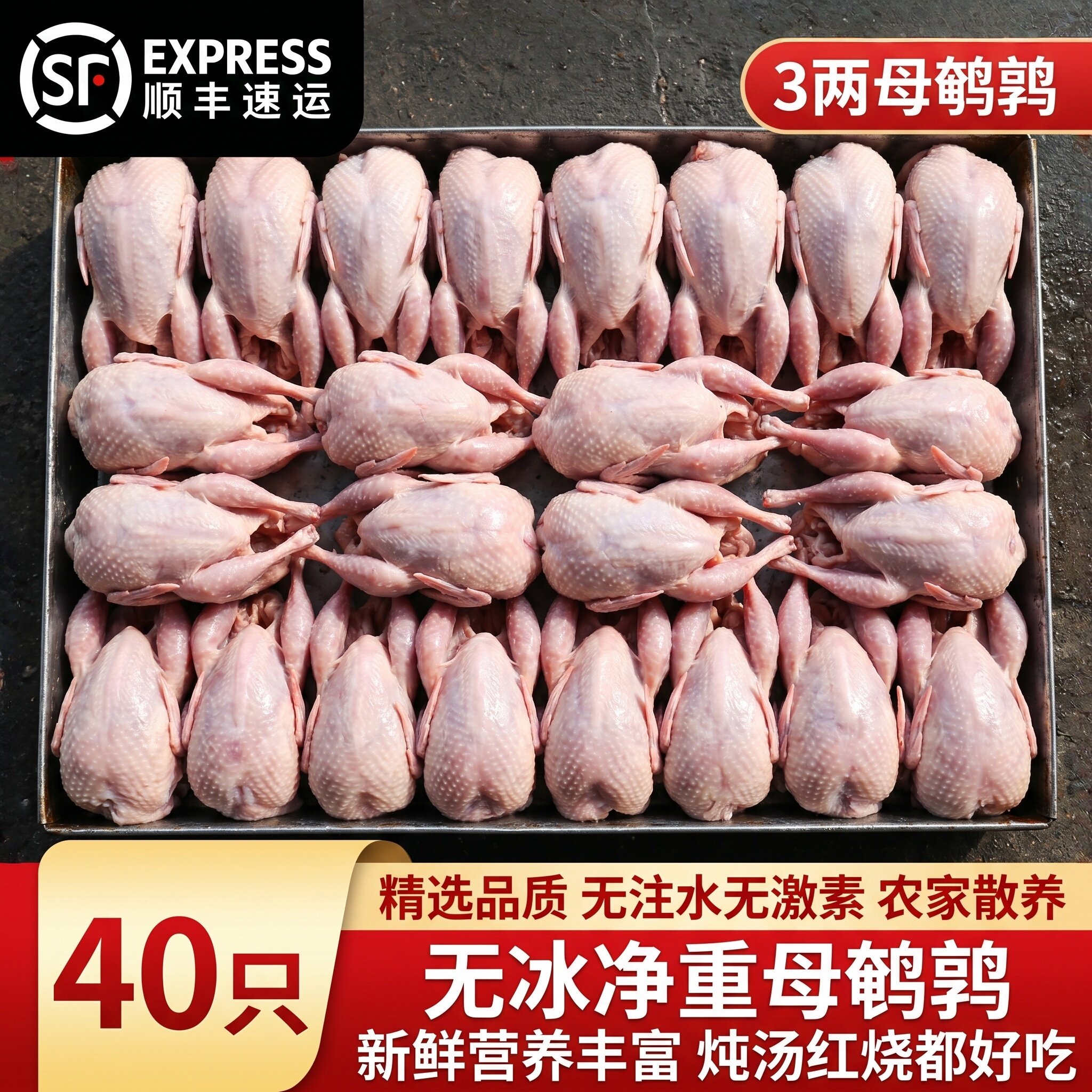 鲜冻母鹌鹑新鲜现杀鹌鹑肉速冻白条鹌鹑3两大个鹌鹑烧烤商用批发