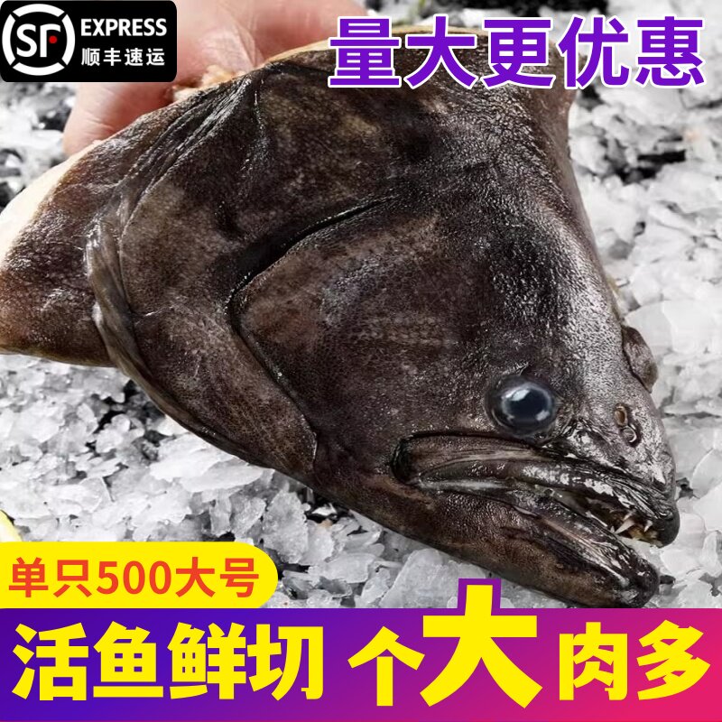 鲽鱼头新鲜冷冻鲽鱼头超大鸦片鱼头特大比目鱼蝶鱼头烧烤商用海鲜