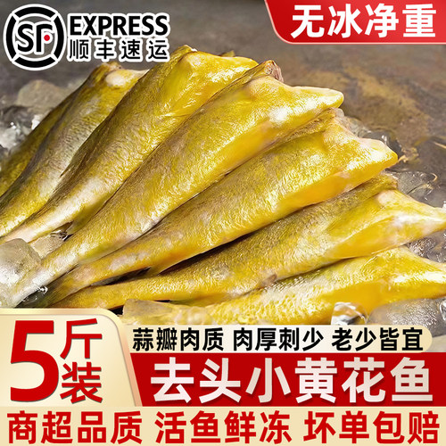 去头小黄鱼冷冻生鲜整箱