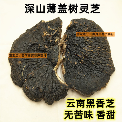 薄树黑香灵芝正宗云南野外生长薄盖树灵芝片深山紫灵芝片干货500g