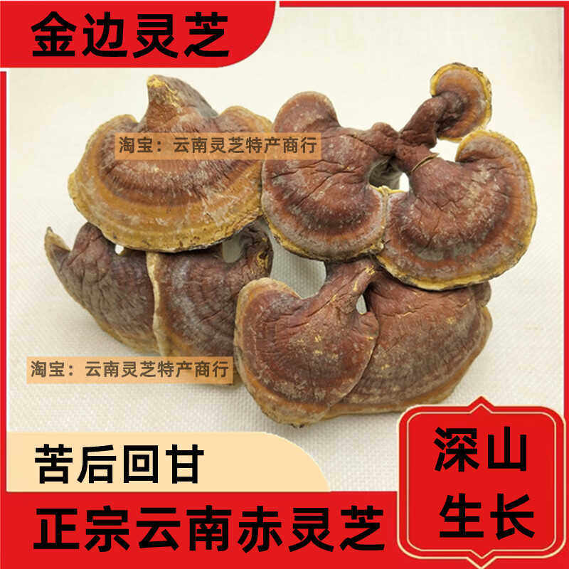 灵芝正宗云南野外深山金边赤灵芝生长红灵芝片散装泡酒料干货500g