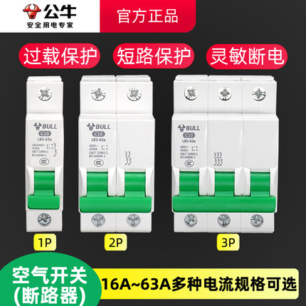 公牛空气开关断路器家用电闸刀过载漏电保护1p2p16a20a32a63a安匹