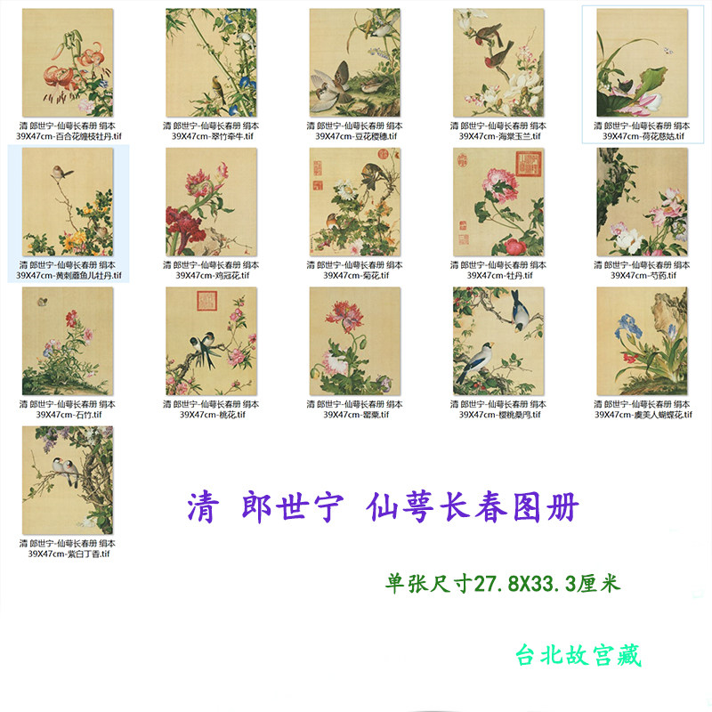 郎世宁仙萼长春图花鸟画宫廷国画高清艺术微喷客厅书房装饰画挂画