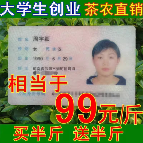 雨前一级自产自销手工信阳毛尖