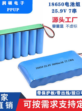 定制7串大容量25.9V滑板车29.4V水泵24V30A卷砸门可充电电池组