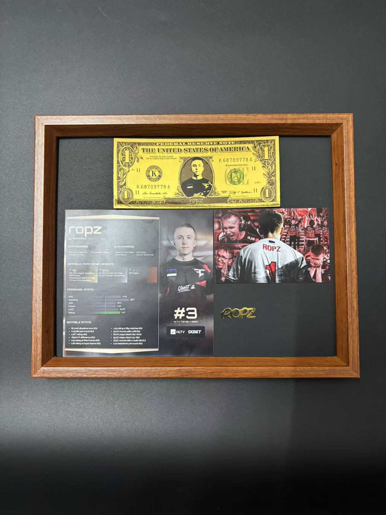 ropz纪念框cs周边CS选手纪念框