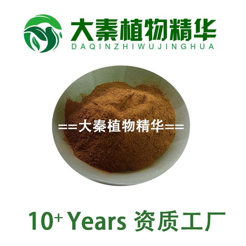 SC源头 明日叶提取物 多规格明日叶粉长寿草提取物粉末
