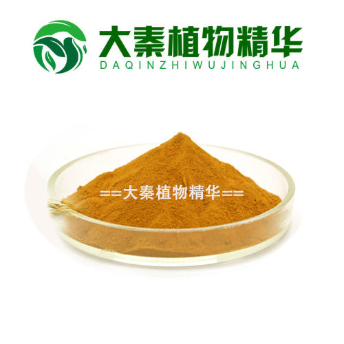 天然佛手提取物 佛手瓜提取物 佛手内酯佛手浓缩提取精华