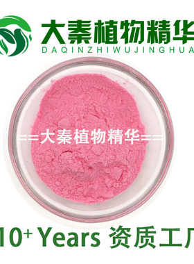 天然SC 圣女果提取物 10:1规格圣女果粉 小西红柿水溶粉提取物