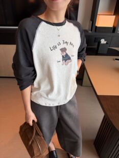韩国东大门女装2026秋百搭显瘦可爱小熊圆领插肩拼色长袖T恤