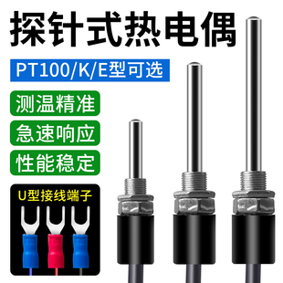 高精度探头式热电偶K型E型PT100热电阻探头探杆测温线温度传感器